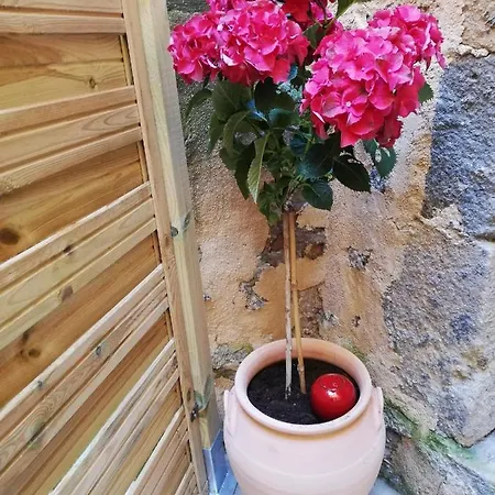 Les Insolites De Apartment
